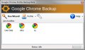 Google Chrome Backup  2.1.0.216