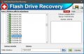 Flash Drive Recovery 1.0