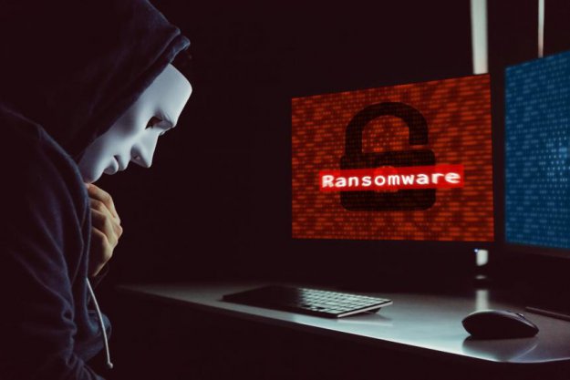 Raport RisklQ: lawinowo rośnie skala cyberprzestępczości