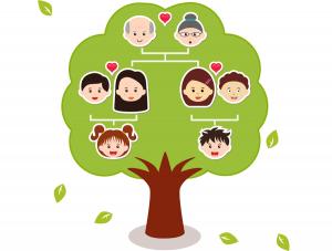  Drzewo  genealogiczne