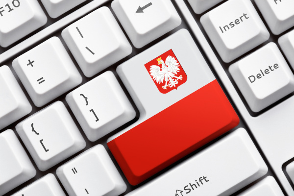 Trzy dekady Polski online