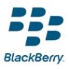 Twitter dla Blackberry - oficjalna aplikacja gotowa