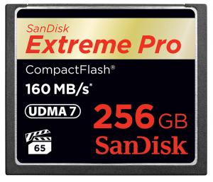 Pierwsza na świecie karta Compact Flash 256GB