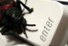 Złośliwy robak zaatakował blogi