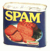 Miesięczny raport na temat spamu