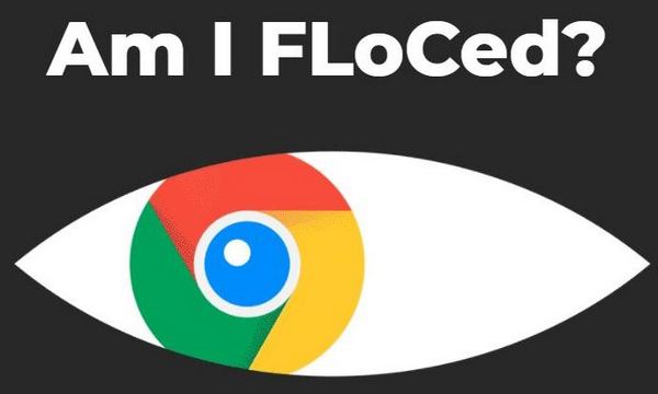Electronic Frontier Foundation - Am I FLoCed?