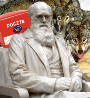 Darwin, wilki i poczta