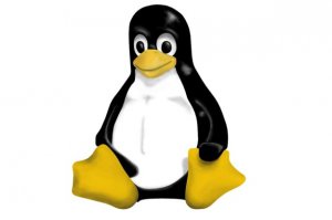 Nietypowy trojan atakuje Linuxa
