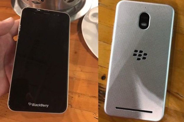 Blackberry Aurora na zdjęciach