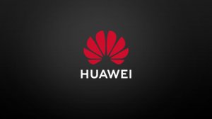 Pomimo świetnych wyników Huawei spodziewa się trudnego roku 