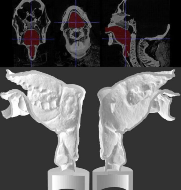 Mumia kapłana z Teb otrzymała głos dzięki drukowi 3D