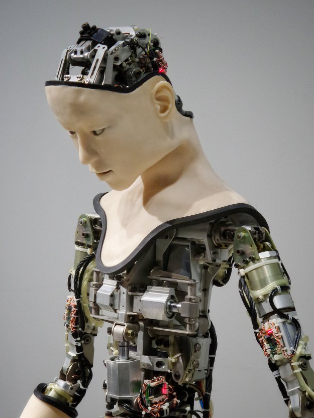 Alarmujące skutki stosunków z robotami