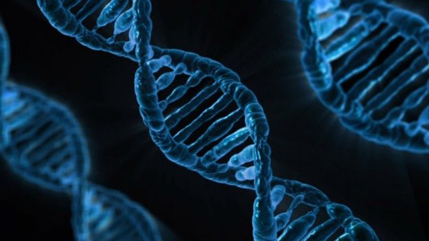Z firmy testującej DNA wyciekły dane ponad 2 mln osób