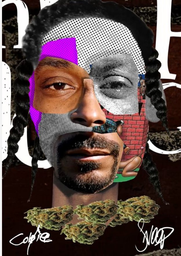 Legendarny raper Snoop Dogg sprzedaje kolejny NFT
