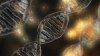DNA jako nośnik danych