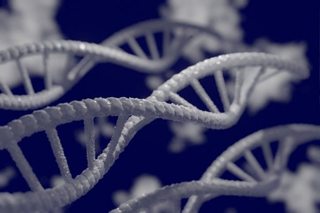 DNA zdradzi wygląd sprawcy