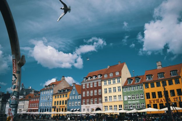 Latanie w Danii ma być ekologiczne 